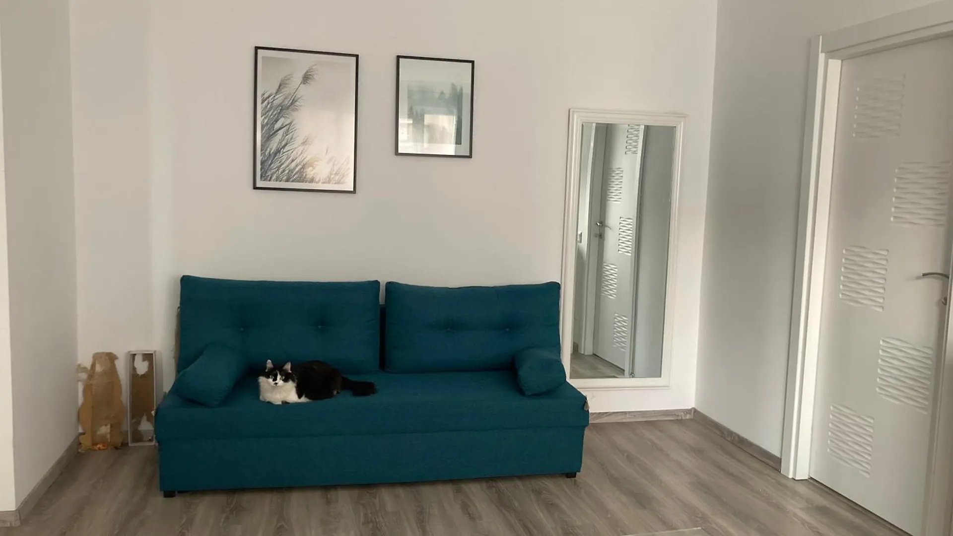 Room In City Centre Bucareste 0*,